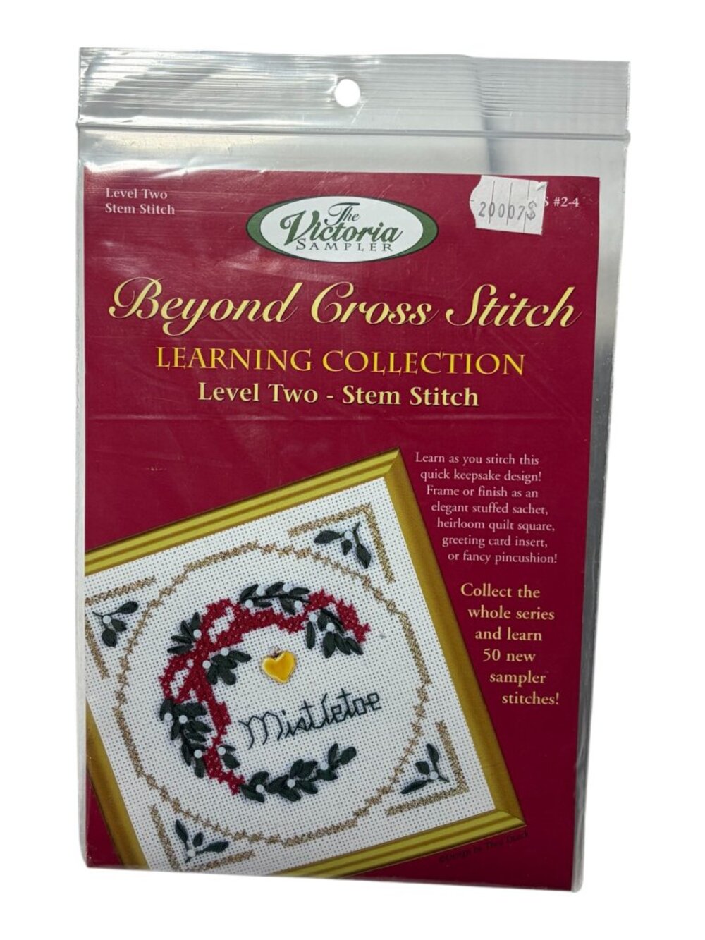 Beyond Cross Stitch Learning Collection Stem Stitch Stitch Level Two Kit NOS
